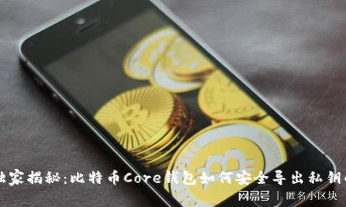 专家独家揭秘：比特币Core钱包如何安全导出私钥的秘诀