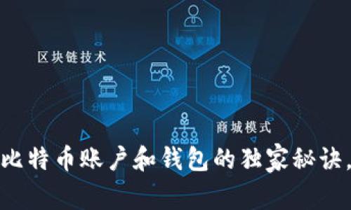 专家揭秘：全球比特币账户和钱包的独家秘诀，你还不知道吗？