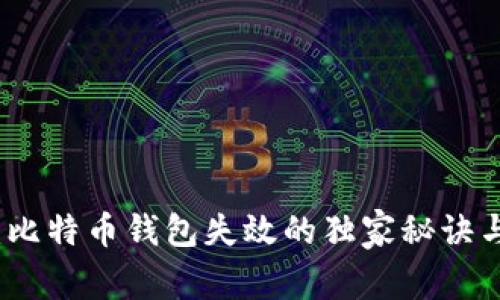 专家解析：比特币钱包失效的独家秘诀与应对策略