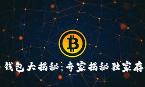 比特币钱包大揭秘：专家揭秘独家存储秘诀