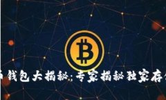 比特币钱包大揭秘：专家揭秘独家存储秘诀