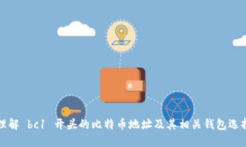 理解 bc1 开头的比特币地址及其相关钱包选择