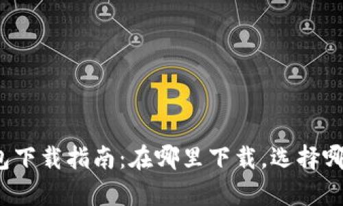 比特币钱包下载指南：在哪里下载，选择哪个存储盘？