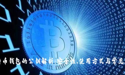 比特币钱包的公钥解析：安全性、使用方式与常见问题