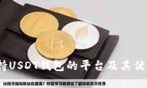 全面分析：支持USDT钱包的平台及其优势与选择指南