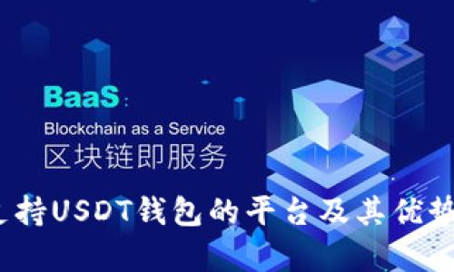 全面分析：支持USDT钱包的平台及其优势与选择指南