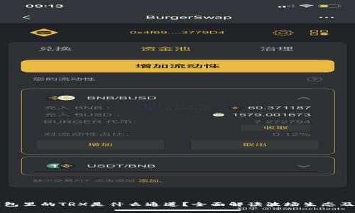 波场钱包里的TRX是什么通道？全面解读波场生态及其功能