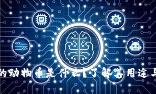 TP钱包中的动物币是什么？了解其用途与投资价值