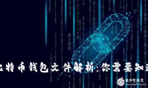 最早的比特币钱包文件解析：你需要知道的一切