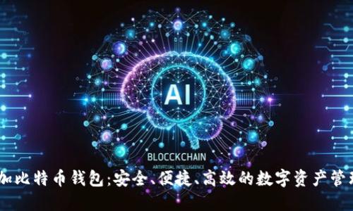 币加加比特币钱包：安全、便捷、高效的数字资产管理平台