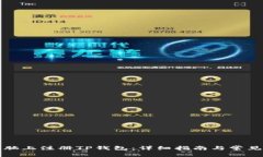 如何在电脑上注册TP钱包：详细指南与常见问题解