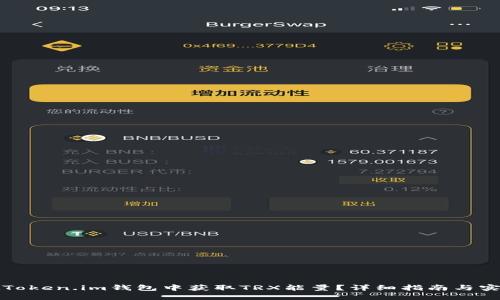 如何在Token.im钱包中获取TRX能量？详细指南与实用技巧