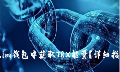 如何在Token.im钱包中获取TRX能量？详细指南与实用技巧