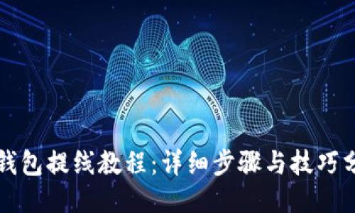 TP钱包提线教程：详细步骤与技巧分享