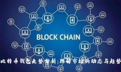 比特币钱包走势分析：理解市场的动态与趋势