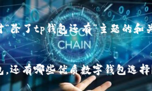 以下是针对“除了tp钱包还有”主题的和关键词设计：


除了TP钱包，还有哪些优质数字钱包选择？