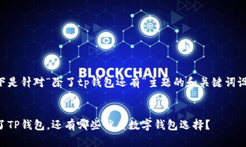 以下是针对“除了tp钱包还有”主题的和关键词设计：


除了TP钱包，还有哪些优质数字钱包选择？