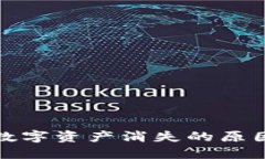 TP钱包中的数字资产消失的原因及解决方案