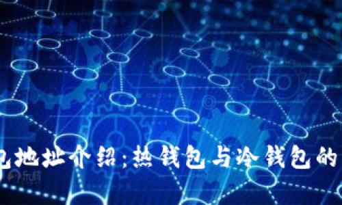 USDT钱包地址介绍：热钱包与冷钱包的区别解析