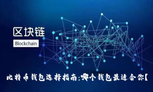 比特币钱包选择指南：哪个钱包最适合你？