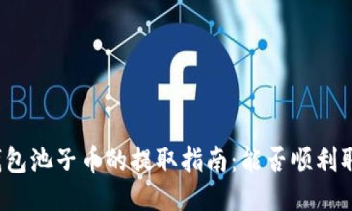 TP钱包池子币的提取指南：能否顺利取出？