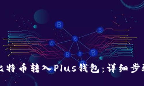 如何将比特币转入Plus钱包：详细步骤与指南