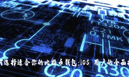 如何选择适合你的比特币钱包：iOS 用户的全面指南
