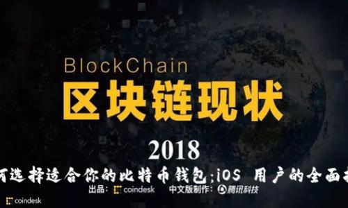 如何选择适合你的比特币钱包：iOS 用户的全面指南