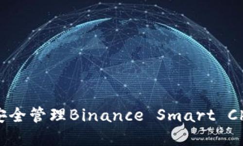如何使用TP钱包安全管理Binance Smart Chain（币安链）资产