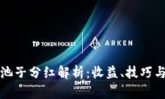 TP钱包加池子分红解析：收益、技巧与风险分析