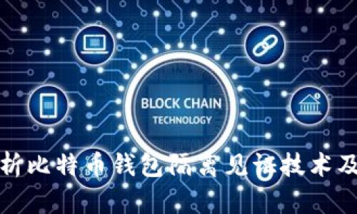 深入解析比特币钱包隔离见证技术及其影响