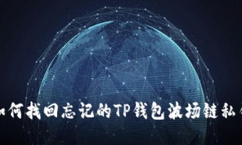 如何找回忘记的TP钱包波场链私钥