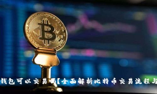 比特币钱包可以交易吗？全面解析比特币交易流程与安全性