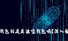 TP钱包到底是波宝钱包吗？深入解析