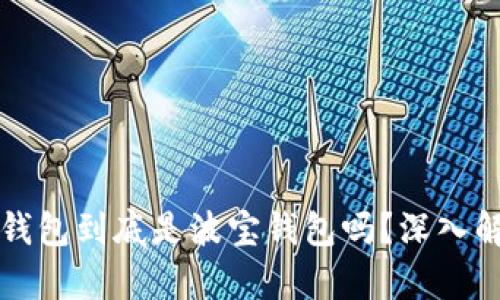 TP钱包到底是波宝钱包吗？深入解析