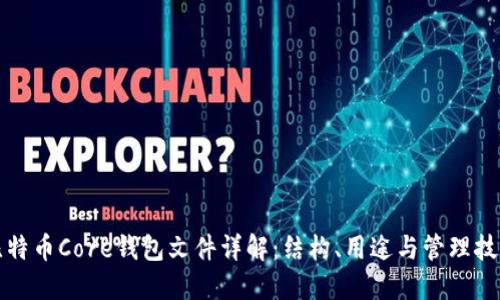 比特币Core钱包文件详解：结构、用途与管理技巧