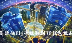 快速灵活的Pig币提取到TP钱包视频教程