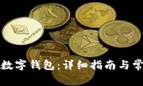 如何申请TP数字钱包：详细指南与常见问题解答