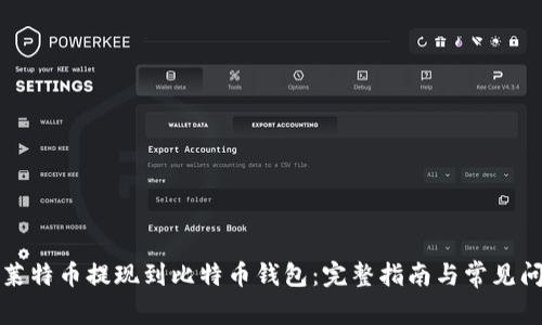 如何将莱特币提现到比特币钱包：完整指南与常见问题解答