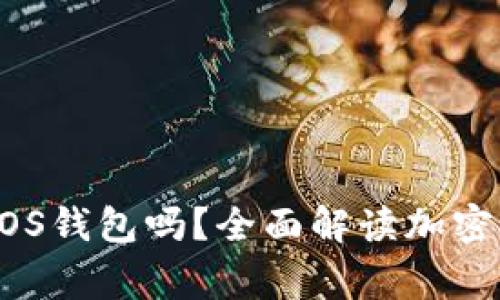 有TP钱包还需要创建EOS钱包吗？全面解读加密货币钱包使用注意事项