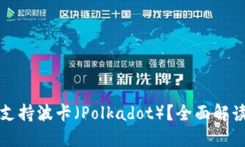 TP钱包是否支持波卡（Polkadot）？全面解读与使用指南