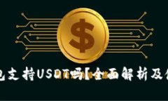 极客钱包支持USDT吗？全面解析及使用指南