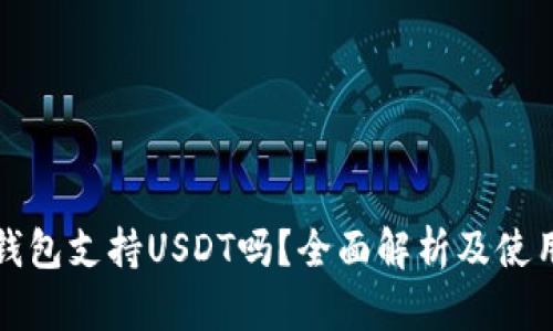 极客钱包支持USDT吗？全面解析及使用指南