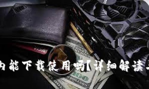 TP钱包国内能下载使用吗？详细解读与使用指南