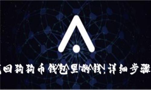 如何找回狗狗币钱包里的钱：详细步骤与指南