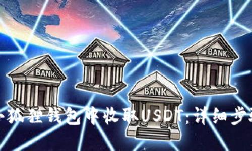 如何在小狐狸钱包中收取USDT：详细步骤与技巧