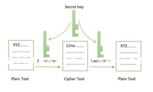 已知信息：泰达币（Tether，USDT）是一种与美元1：1锚定的稳定币，广泛用于加密货币交易和存储价值。用户在各种交易平台和钱包中可以存储或提现其余额。接下来将提供更详细的信息及解答相关问题。

  泰达币（USDT）怎么提现到钱包？