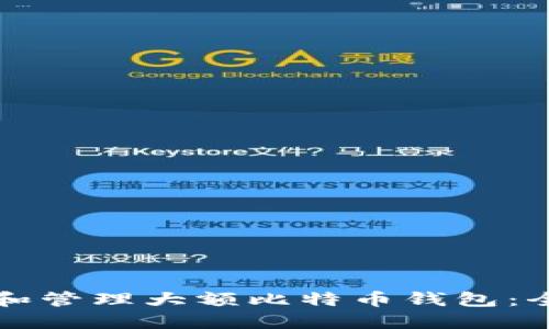 如何选择和管理大额比特币钱包：全方位指南