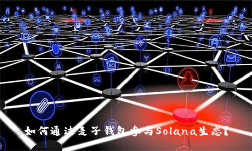 如何通过麦子钱包参与Solana生态？