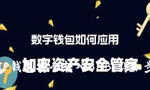 如何通过TP钱包安全转入BNB：详细步骤与技巧